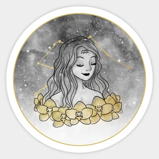 Aquarius Sticker